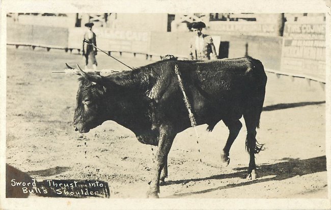 Bull fighting "Sword thrust into bull's shoulder"